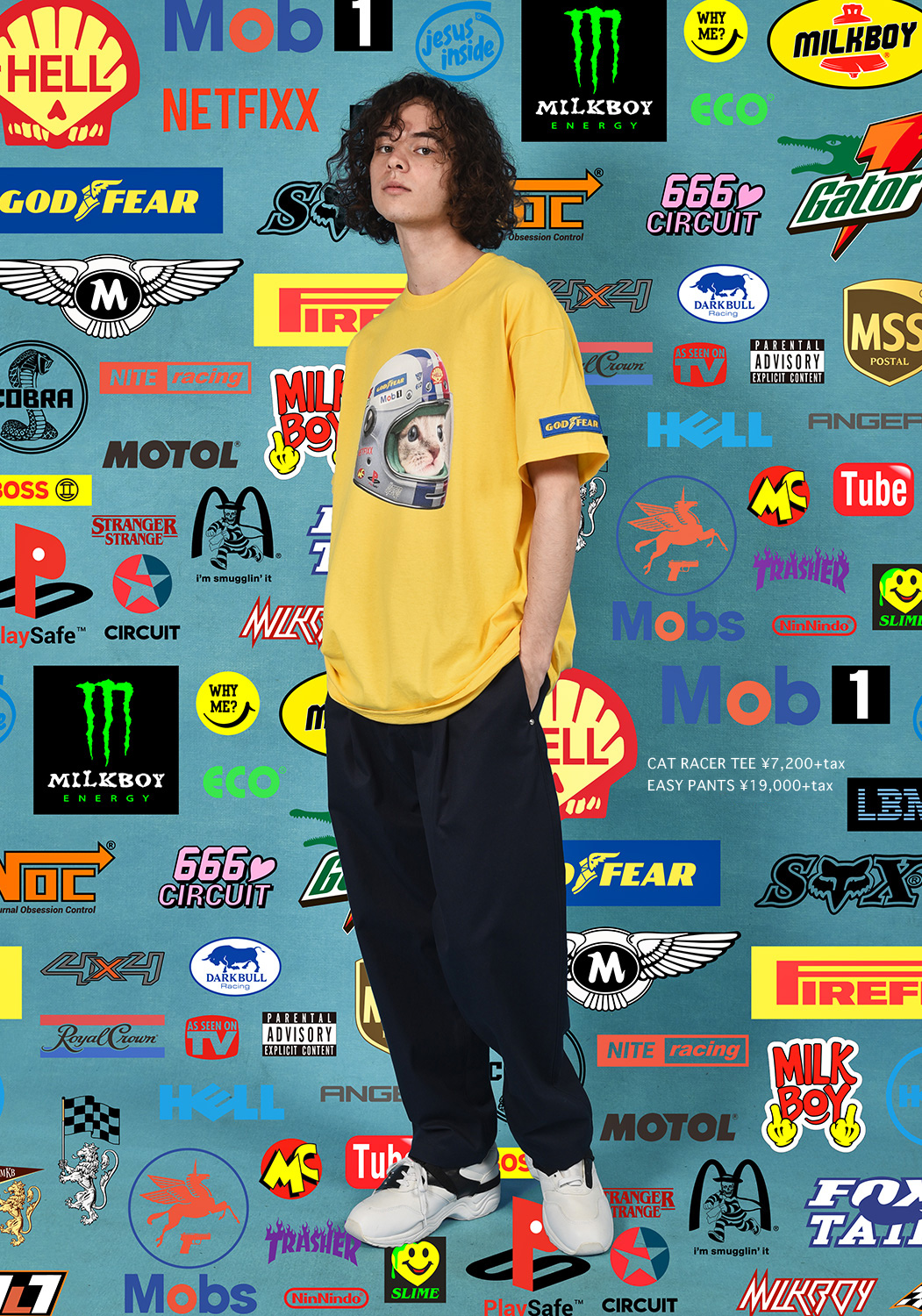 WEB Catalogue